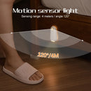 LED Night Light, 8 Colors, USB-C Charging, Light Sensor and Motion Sensor Control, Ideal for Hallways, Bedrooms, and Staircases